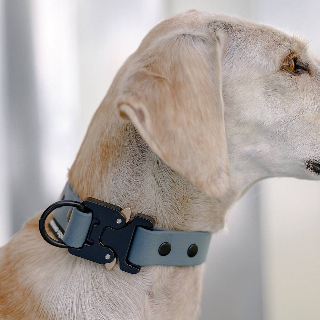 Cobra Buckle Biothane® Dog Collar, Waterproof Collar, Vegan Collar