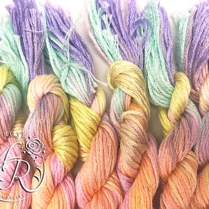 ThreadworX Wildflowers 10592 Pastel Rainbow Variegated Embroidery Floss image 1