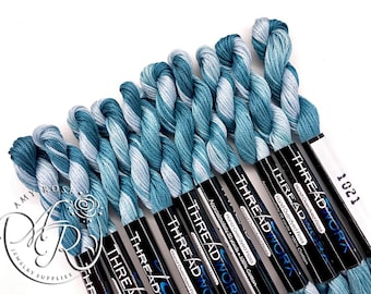 ThreadworX Tide Pools 1021 - Variegated Embroidery Floss
