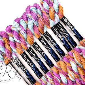 ThreadworX Indian Tapestry 1011 - Variegated Embroidery Floss