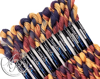 ThreadworX Autumn Leaves 1039 - Variegated Embroidery Floss