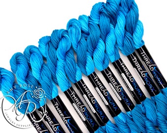 ThreadworX Blue Swirl 11382 - Variegated Embroidery Floss