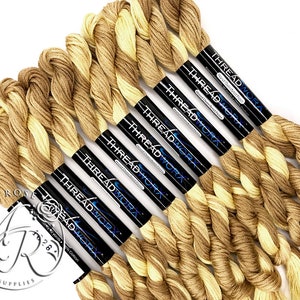 ThreadworX Pirate&#39;s Gold 10281 - Variegated Embroidery Floss