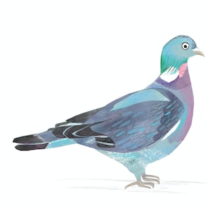 Pigeon Blank Greetings Card