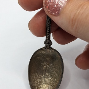May include: Silver souvenir spoon with a palm tree design and the word "BERMUDA" engraved on the bottom.
