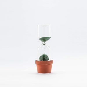 Hourglass timer Cactus plant Sand hourglass Cacti hour glass sand timer Kitchen timer Sablier Sanduhr Egg Timer Sand clock one minute image 9