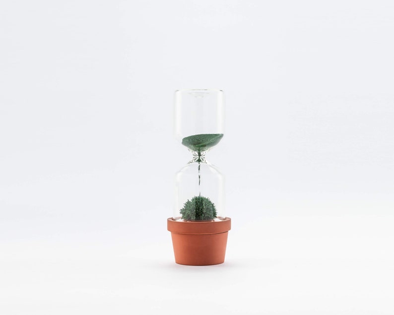 Hourglass timer Cactus plant Sand hourglass Cacti hour glass sand timer Kitchen timer Sablier Sanduhr Egg Timer Sand clock one minute image 9