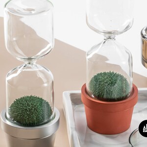 Hourglass timer Cactus plant Sand hourglass Cacti hour glass sand timer Kitchen timer Sablier Sanduhr Egg Timer Sand clock one minute image 4