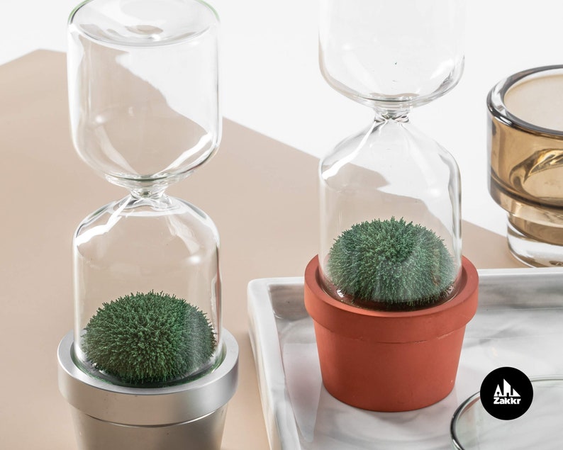 Hourglass timer Cactus plant Sand hourglass Cacti hour glass sand timer Kitchen timer Sablier Sanduhr Egg Timer Sand clock one minute image 4