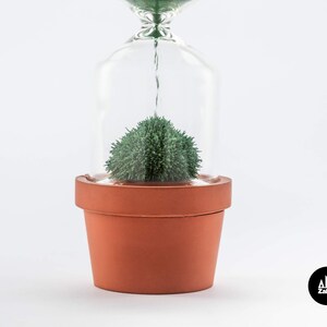 Hourglass timer Cactus plant Sand hourglass Cacti hour glass sand timer Kitchen timer Sablier Sanduhr Egg Timer Sand clock one minute image 3