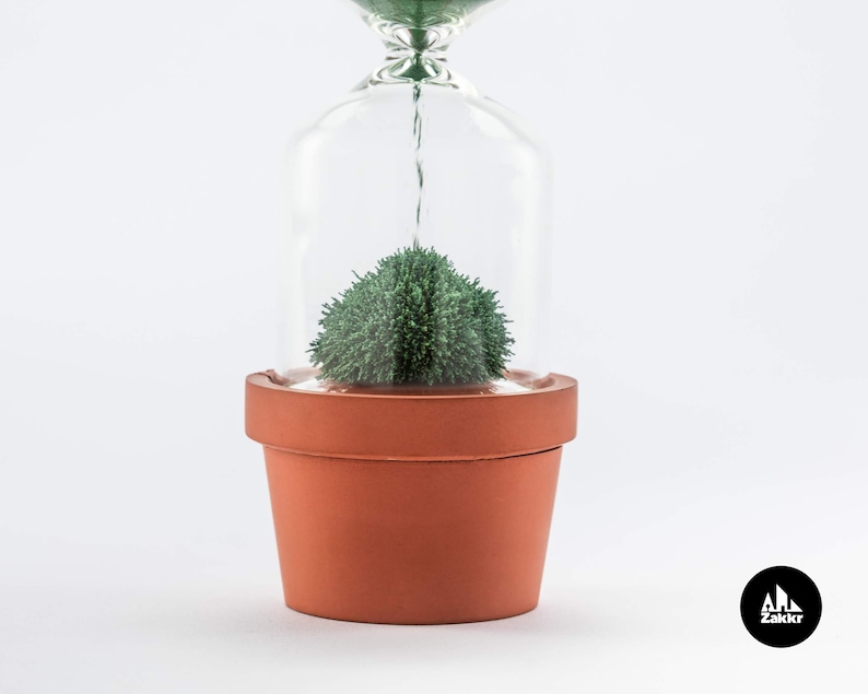 Hourglass timer Cactus plant Sand hourglass Cacti hour glass sand timer Kitchen timer Sablier Sanduhr Egg Timer Sand clock one minute image 3