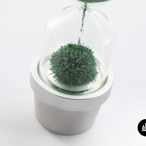 Hourglass timer Cactus plant Sand hourglass Cacti hour glass sand timer Kitchen timer Sablier Sanduhr Egg Timer Sand clock one minute image 6