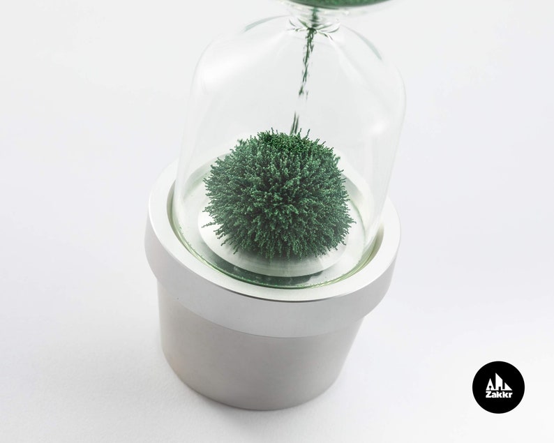 Hourglass timer Cactus plant Sand hourglass Cacti hour glass sand timer Kitchen timer Sablier Sanduhr Egg Timer Sand clock one minute image 6