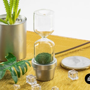 Hourglass timer Cactus plant Sand hourglass Cacti hour glass sand timer Kitchen timer Sablier Sanduhr Egg Timer Sand clock one minute image 8