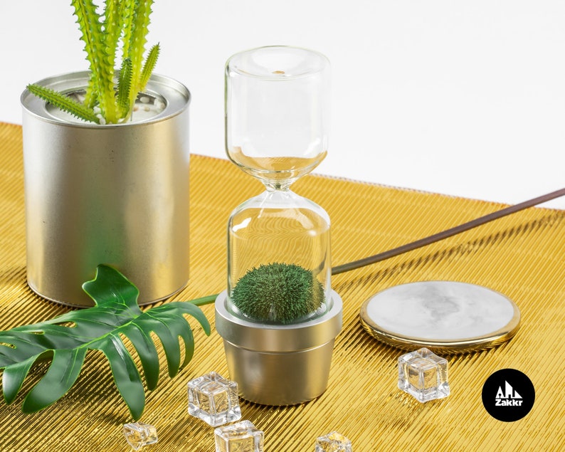 Hourglass timer Cactus plant Sand hourglass Cacti hour glass sand timer Kitchen timer Sablier Sanduhr Egg Timer Sand clock one minute image 8