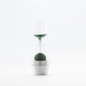 Hourglass timer Cactus plant Sand hourglass Cacti hour glass sand timer Kitchen timer Sablier Sanduhr Egg Timer Sand clock one minute image 10