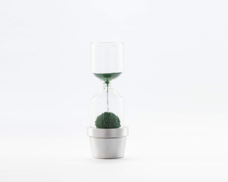 Hourglass timer Cactus plant Sand hourglass Cacti hour glass sand timer Kitchen timer Sablier Sanduhr Egg Timer Sand clock one minute image 10
