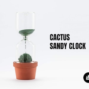 Hourglass timer Cactus plant Sand hourglass Cacti hour glass sand timer Kitchen timer Sablier Sanduhr Egg Timer Sand clock one minute