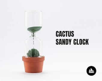 Hourglass timer Cactus plant Sand hourglass Cacti hour glass sand timer Kitchen timer Sablier Sanduhr Egg Timer Sand clock one minute