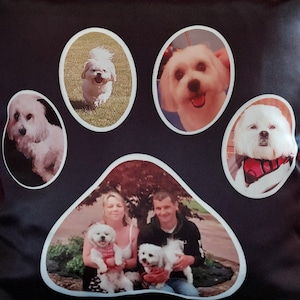 Paw Print cushion