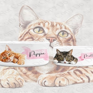 Ceramic Personalised Cat Bowl