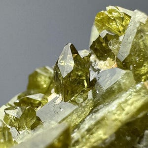 Könnte beinhalten: Nahaufnahme eines Clusters aus durchscheinenden, chartreusefarbenen Kristallen. Die Kristalle haben scharfe, geometrische Formen und unterschiedliche Größen, mit einigen kleinen, undurchsichtigen Bereichen. Der Hintergrund ist ein weiches Grau.