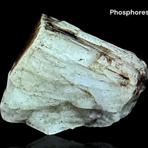 May include: A close-up of a phosphorescent rock with a rough, textured surface. The rock is primarily light blue-green with brown and white accents. The word "Phosphorescent" is written in white text at the top.