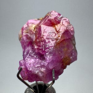 May include: A raw, uncut ruby gemstone, showcasing a vibrant pink hue with areas of deeper red and gold. The crystalline structure is visible, and the stone is held by a metal support, highlighting its natural form.