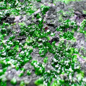 May include: Close-up of a rock formation with vibrant green crystals clustered across a dark gray surface. The crystals have a geometric shape and reflect light, creating a sparkling effect. Small patches of purple are visible.