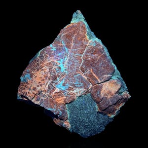 May include: A unique, irregularly shaped rock formation with a dark background. The rock features a mix of colors, including brown, teal, and blue, with intricate vein-like patterns. The letters "LW" are in the upper left corner.