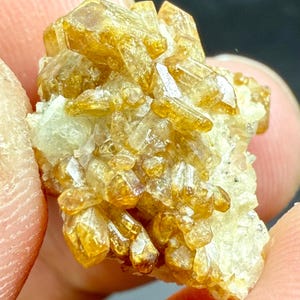 May include: Close-up of a cluster of golden-yellow crystal formations. The crystals have a prismatic shape and are clustered together on a white and light-yellow matrix. The crystals are translucent and reflect light.