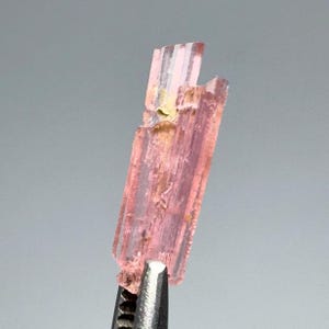 Puede incluir: Cristal de turmalina rosa de forma rectangular y textura ligeramente rugosa. Sujetado por unas pinzas plateadas sobre un fondo gris. El cristal tiene un aspecto natural y en bruto. Espécimen mineral.