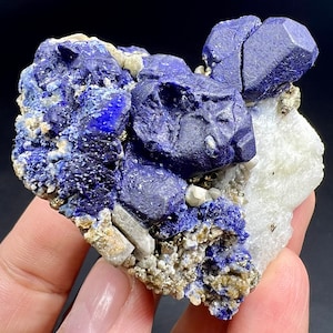 May include: A cluster of deep blue lapis lazuli crystals with a white matrix and small, metallic gold pyrite crystals.
