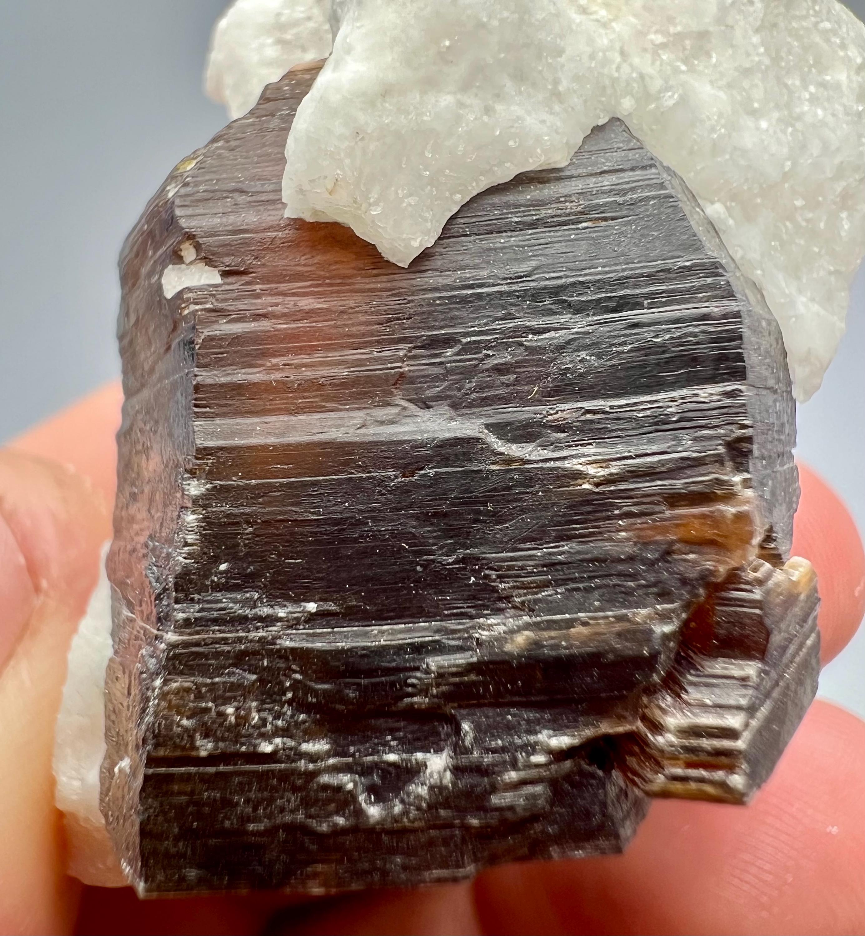 Phlogopite mineral - Etsy 日本