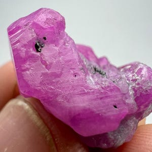 May include: A close-up of a raw, uncut ruby gemstone. The ruby is a vibrant pinkish-red color with a rough, textured surface. Small black inclusions are visible within the stone. The gemstone is held in a person's hand.