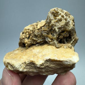 May include: A close-up of a mineral specimen featuring a light tan, rough matrix with a cluster of radiating, needle-like crystals. The crystals are a translucent, yellowish-brown color, contrasting with the lighter matrix. The overall texture is coarse and natural.
