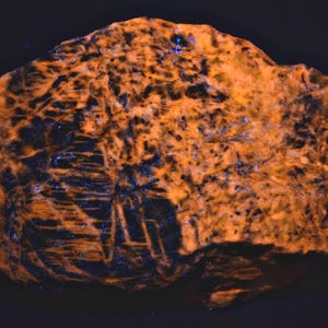 May include: A close-up of a rock with a rough, textured surface. The rock has a vibrant orange hue with dark black and blue patterns throughout. The overall shape is irregular and organic, set against a dark background.