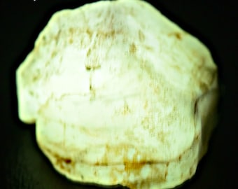 53ct Fluorescent Phosphorescent Hackmanite Crystal from Badakhshan Afghanistan | Color-Change UV Mineral