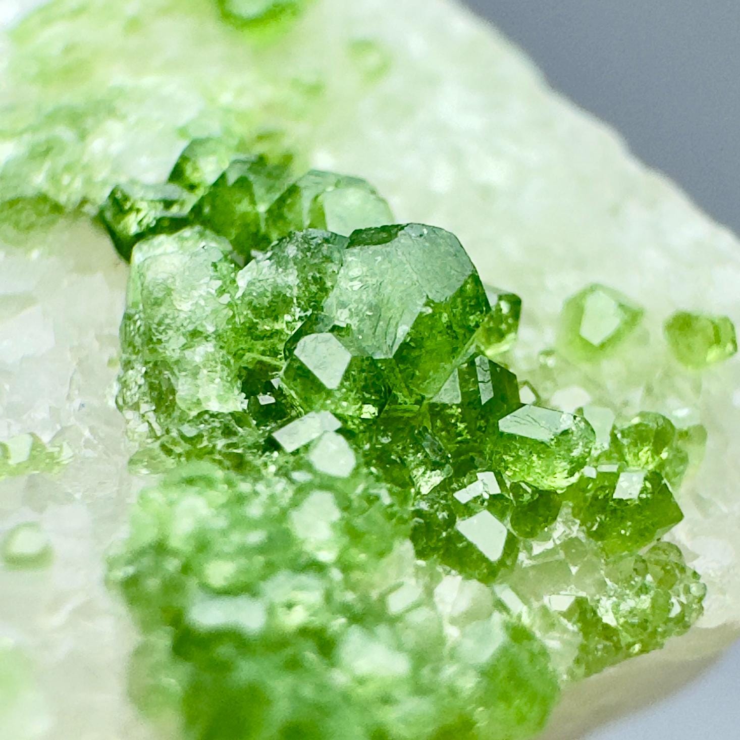 専用ページ タンザニア産 クロムドラバイト ウサンバラ効果 専用ページ タンザニア産 クロムドラバイト ウサンバラ効果 専用ページ