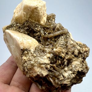 May include: A cluster of light brown crystals with a larger, off-white crystal on top. The crystals are embedded in a matrix of gray rock.