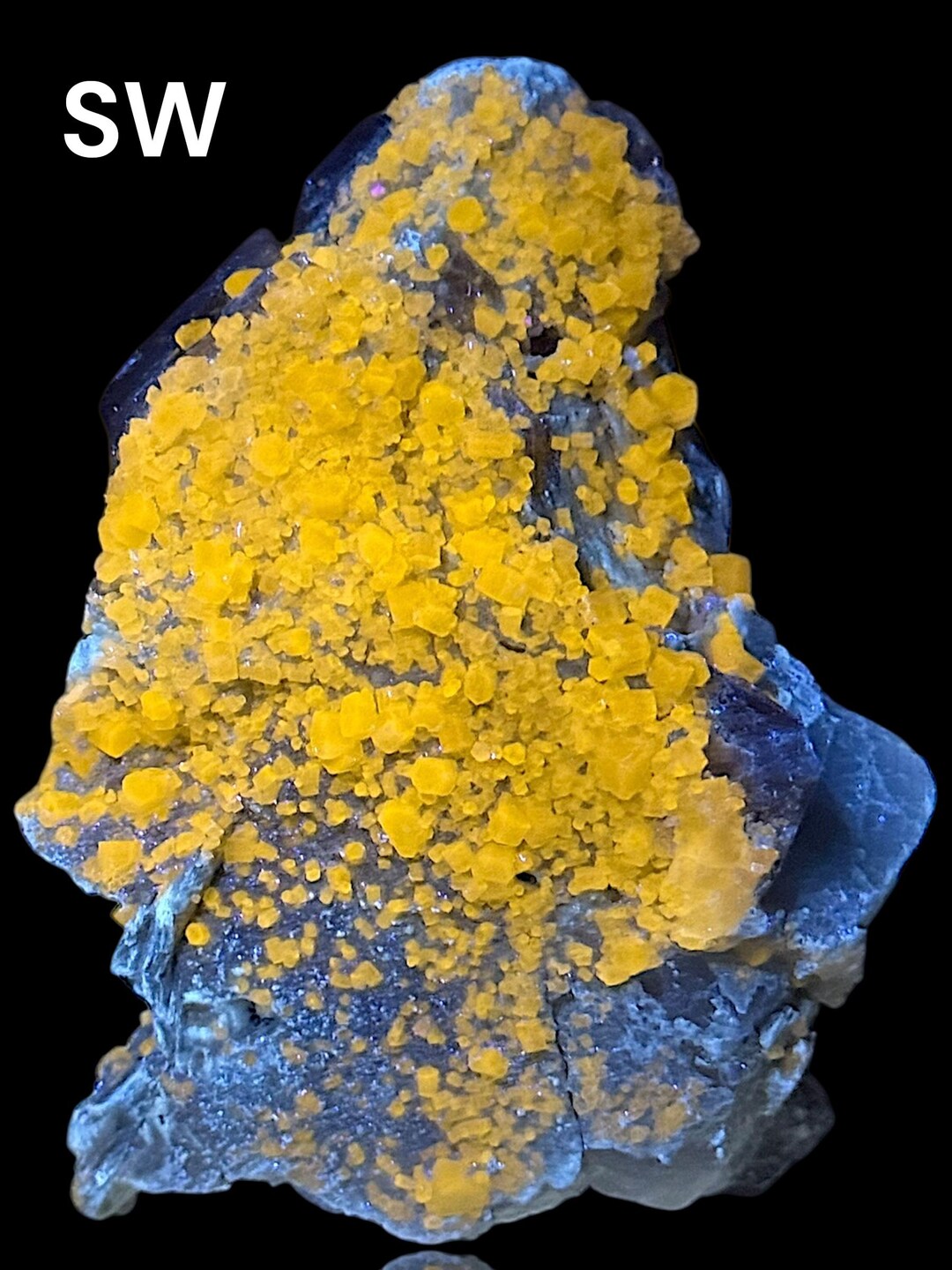 456 Gram Fluorescent Apatite Crystals Specimen on Quartz With ...