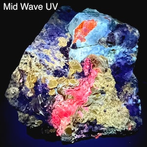 Puede incluir: Primer plano de un espécimen mineral bajo luz ultravioleta. La roca muestra una variedad de colores, incluyendo azul, rojo, amarillo y blanco. El texto "Mid Wave UV" es visible. El mineral tiene una superficie rugosa y texturizada.