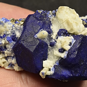 May include: A cluster of deep blue lapis lazuli crystals with white calcite and gold pyrite inclusions. The crystals are sharp and well-defined, with a metallic sheen.