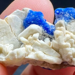 May include: A cluster of white, crystalline minerals with blue azurite crystals. The azurite crystals are clustered together and have a deep blue color.