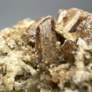 May include: Close-up of a mineral specimen featuring a prominent, elongated crystal with a translucent, brownish-orange hue. The crystal is surrounded by a matrix of smaller, lighter-colored crystalline structures, creating a textured, natural appearance. The overall composition suggests a geological sample.