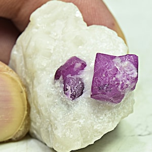 May include: A cluster of ruby crystals embedded in a white matrix. The ruby crystals are a deep red color and have a sharp, well-defined shape.