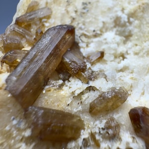 May include: Close-up of a mineral specimen featuring multiple, elongated, amber-colored crystals. The crystals are set against a backdrop of a rough, off-white matrix with small dark specks, creating a natural, earthy aesthetic.