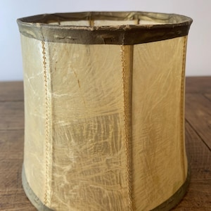 Pig bladder lampshade - Etsy 日本