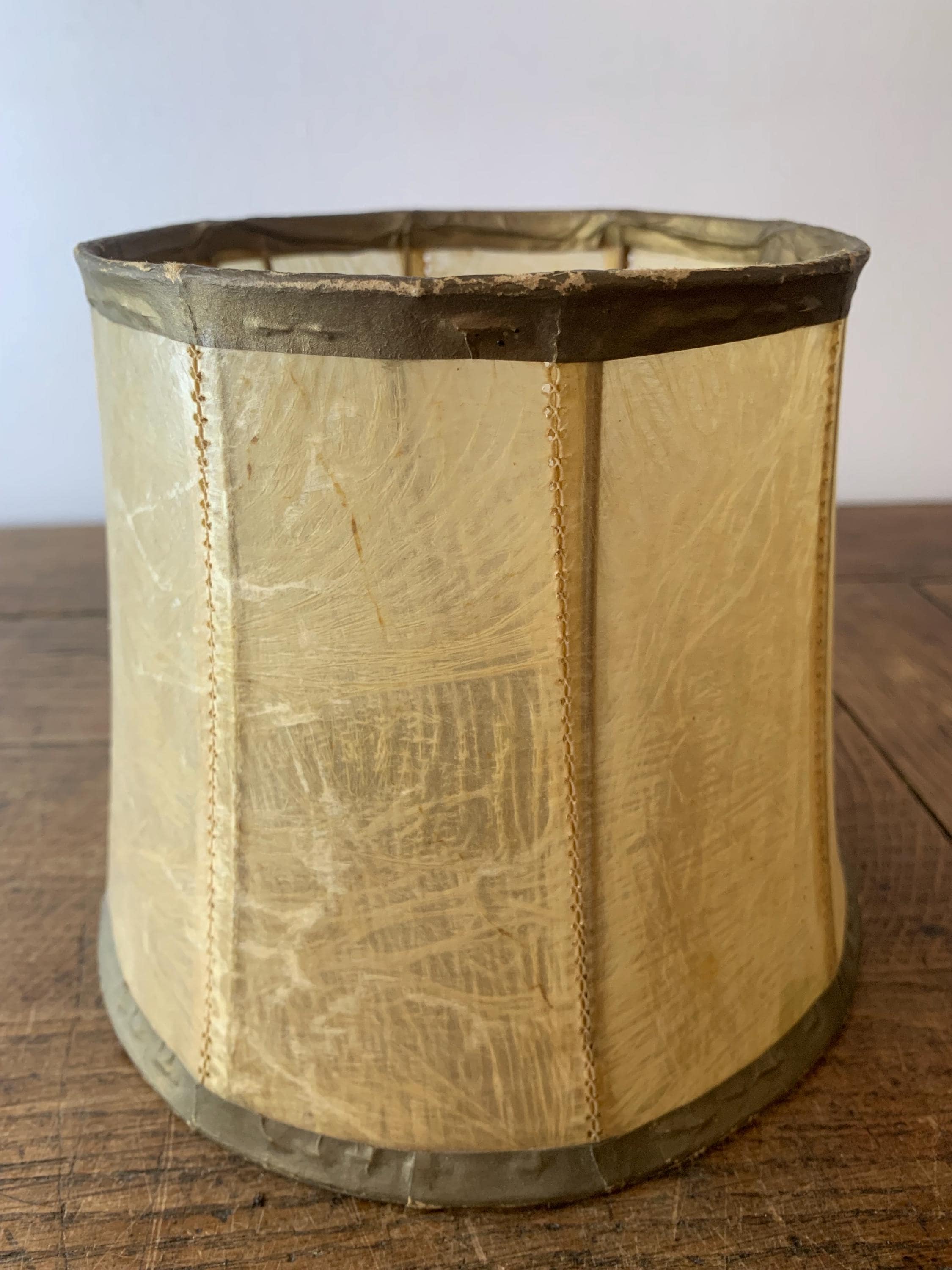 Pig bladder lampshade - Etsy 日本