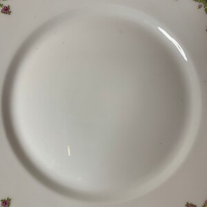 May include: White ceramic plate with a floral border. The border features pink flowers and green leaves on a gold background.